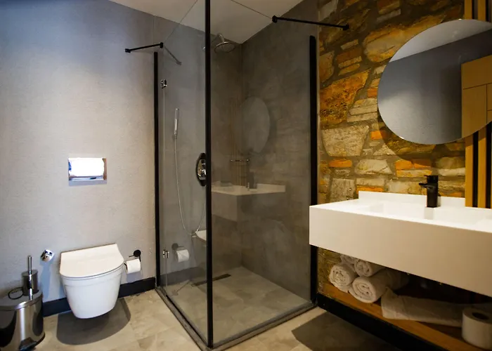 Asterina Apart Otel 4*