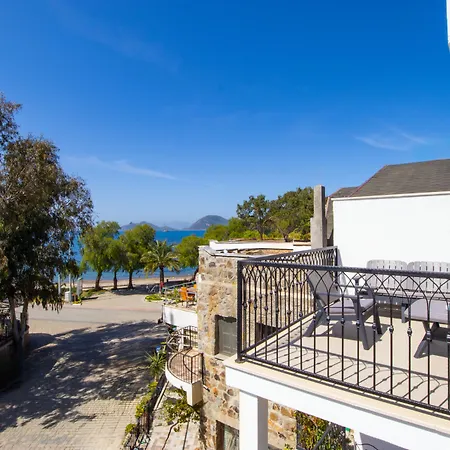 Asterina 4* トゥルグトレイス