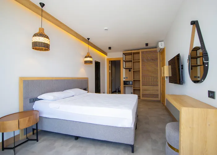Asterina 4*