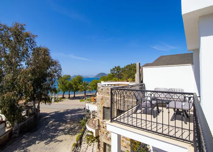 Asterina 4* トゥルグトレイス